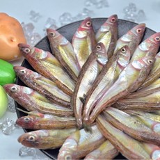 맛 좋은 제철 동해안 도루묵 1kg (55미 내외)