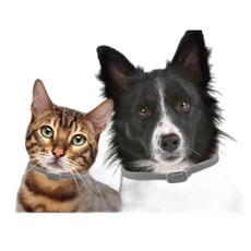 강아지진드기목걸이 모기 벌레 퇴치 기피제, 그레이, 65cm 강아지용