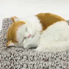 제습인형 차량제습제 차량용 제습제 동물인형 갈색고양이 대