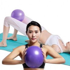 짐볼 22CM 2개, 퍼플22CM 2개 0967WT