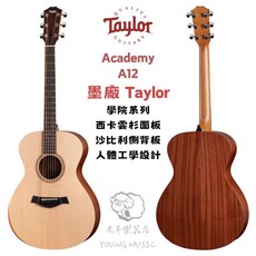 Taylor Academy A12 40吋 GC桶 木吉他 附原廠琴袋, 1個