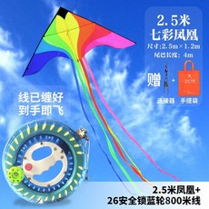 초대형 연 날리기 세트 가오리연 나비 제트기 한강, 2.5m 봉황+ 휠 800m