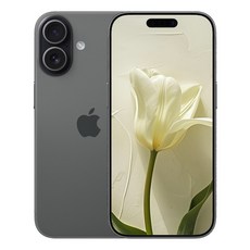 17 미개봉 새상품, 256GB, Apple 아이폰 17 블랙