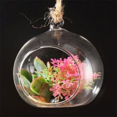 위자드 투명볼 5쌍 식물재배기, 8cm