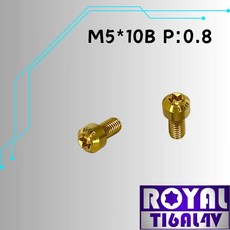 ROYAL M5*10B P:0.8 鈦合金錐形螺絲 土豪金, 1個