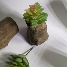 仿真多肉植物, P39仿真多肉+木頭底座(隨機), 1套
