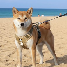 푸키 강아지 중형견 대형견 이중잠금 리지드 하네스 가슴줄, 카키베이지, 1개