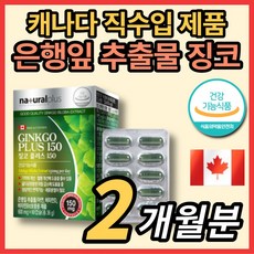 캐나다 직수입 징코 골드 플러스 기억력 혈행 개선 영양제 은행 나무 엽 추출물 비타민b12 아연 비타민d 주부 노인 어르신 중장년 남성 여성 학생 50대 60대 70대