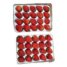 딸기 산지직송 설향 프리미엄 특품 당도선별 선물용 금실 과일 국내산 자연산 상품 700g 1개, 2개, 상세페이지 참조
