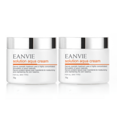 EANVIE 엔비 솔루션 아쿠아 크림 수분크림, 70g, 2개