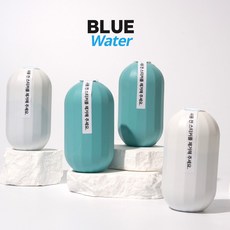 블루워터 자동변기세정제, 민트, 1개