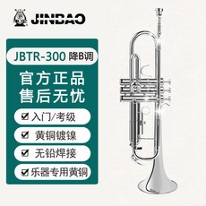 연습용 트럼펫 악기 B플랫레드 초보자 연주 플라스틱 취미 B플랫, 진보 JBTR300 황동 니켈 도금, 1개