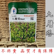 KNOWN-YOU 農友種苗 九層塔種子 V-205 香草植物 高發芽率 易種植 家庭園藝 餐廳適用, 九層塔種子 一包