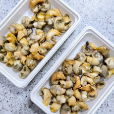 뚱보수산 동해안 국산 백골뱅이 백고동 손질 골뱅이살 200g 1팩, 1개