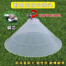 防風高壓噴頭 農用噴霧器噴頭, 1個, 銅芯耐高壓防風噴頭 高低壓通用