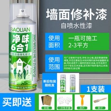 벽 스프레이 곰팡이 제거 낙서 페인트 얼룩 청소, 450ml*1 약 2m