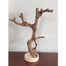 파충류 붙이류 포도나무 가지유목 비어디 크레스티드 걍사슴벌레 레오파드게코 키우기, 70 높이