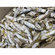 국내산 남해안 햇 통영 고노리 멸치(상품 다시용 육수용 업소용), 1개, 1.5kg