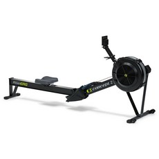 헬스 근력 운동기구 전신 유산소 홈트 로잉머신, RowErg 스탠다드 에디션 블랙, 기본 모델명/품번