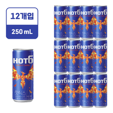 롯데칠성 핫식스, 250ml, 12개