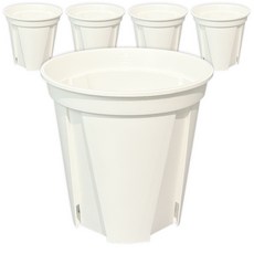 파파가든 슬릿화분(묶음) 뿌리건강 화분, 화이트, 5개