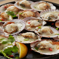 신선한 국내산 제철 통영 생물 홍가리비 (산지직송) kg 20-25미, 1개, 2kg (40-50미)