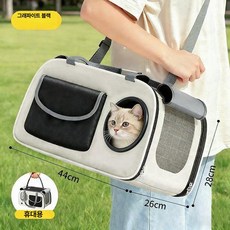 10비파 반려동물 이동장 이동장 고양이 이동가방, 1개, 그래파이트블랙