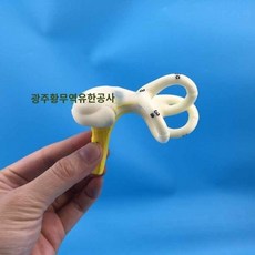 세반고리관 귀세관 인체구조 인체 모형 달팽이관 교육보조도구, A. 인간 귀의 반고리관 달팽이관 반고리관 해