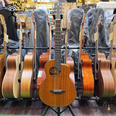 aNueNue 彩虹人 M25 羽毛鳥 36吋小吉他 非洲桃花心木面單板 兒童初學 原聲小吉他, 1個, 原聲款