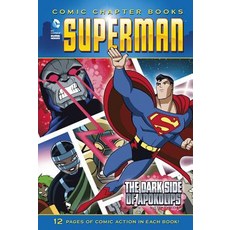 The Dark Side of Apokolips Hardcover, Stone Arch Books