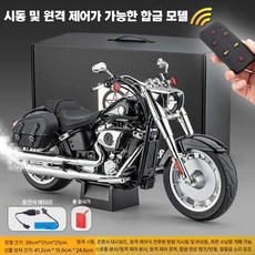 할리 데이비슨 원격 점화 및 리얼 시동 프라모델 피규어 1/6, 블랙, FJ-146