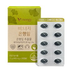 [임박특가] 휴럼 비너지 은행잎 기억력 식물 (소비기한 2026. 03. 21), 1개, 12g