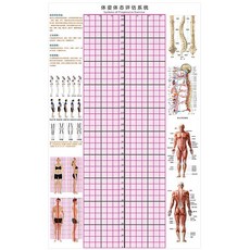 체형 스크린 격자 자세 측정 필라테스 분석 헬스장 모눈종이 평가, 폭 130 높이 210 핑크