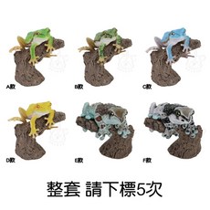 M.M小舖 BANDAI 轉蛋 扭蛋 生物大圖鑑環指 日本雨蛙與牛奶樹蛙 青蛙 雨蛙 樹蛙 模型 全6款, 1個, 整套(金額860，下X5)2J061