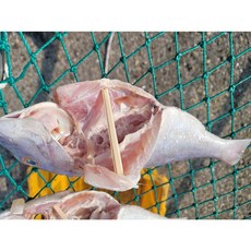 완도 자연산 반건조 도미(대 20cm 전후 내장제거 등 전처리완료 개당 진공포장), 1개, 400g 내외