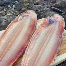 솔리 군산 반건조 박대 구이 조림, 5개, 특대34-38cm