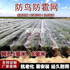 【開發票/統編】防雹網:蘋果葡萄防冰雹網 全新料防蟲紗網 果園農田全套防鳥網 防曬防蟲抗風耐用