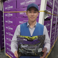 [재구매율1위] 새벽경매 씨없는 블랙사파이어 포도, 1박스, 500g