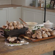 [국내산 송화고 버섯] 굿프렌즈 무농약 친환경 송화고 버섯, 1박스, 일반형 500g