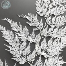 大好屋 永生蕾絲蕨 雪花蕨 碗蕨 葉材 捧花配花材, 蕾絲蕨【白色】單支