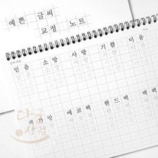 예쁜 글씨 교정 노트 글씨연습노트 글씨체연습 글씨쓰기책 바른글씨쓰기, 화이트