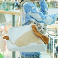 리틀라이언 고양이 외출가방