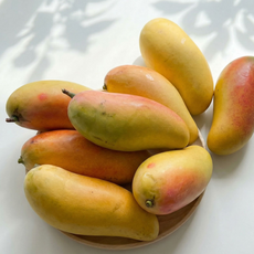 자연가득 테국 마하차녹 무지개 망고 1kg-5kg, 무지개망고 1kg (3과 내외)