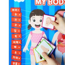 모먼트리 인체 구조 놀이 교구 오감놀이