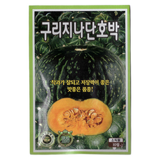 KS 구리지나 단호박 씨앗 10립 호박씨, 1개