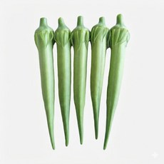 【野菜部屋】K30 姆指圓秋葵種子，不易老化，柔嫩品質好，綠秋葵, 1包