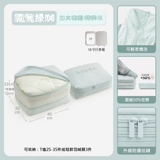 收納箱化妝包透氣加固加大加厚防潮簡約乾濕分離耐磨密閉防潑水防水隨身整理包旅行工具日常採買收納盒材質耐髒好清潔戶外加厚加大方形可收納防水收納袋超市便攜化妝包多口袋網眼透氣手提設計適合居家收納男女通用, 基礎款氧氣綠-M