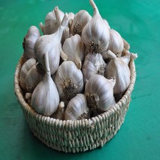 2025년 의성마늘 장아찌용 통마늘 햇마늘 한지형, 1개, 3kg, 의성마늘 중품3kg 약 120-130개