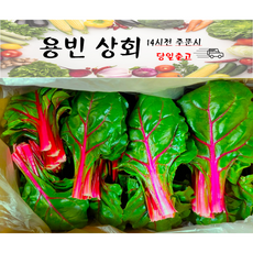 ( 용빈 상회 ) 국내산 적근대 쌈채소 샐러드채소 2kg 4kg 내외, 1박스