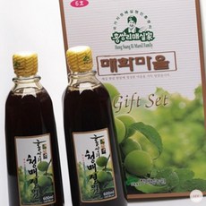 홍쌍리 청매실 선물세트 6호 매실음료 명절 매실즙 매실청 매실원액